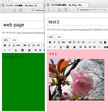 use-editor-css.jpg